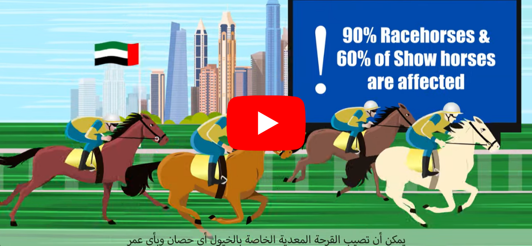 Why are so many performance horses affected by gastric ulcers?