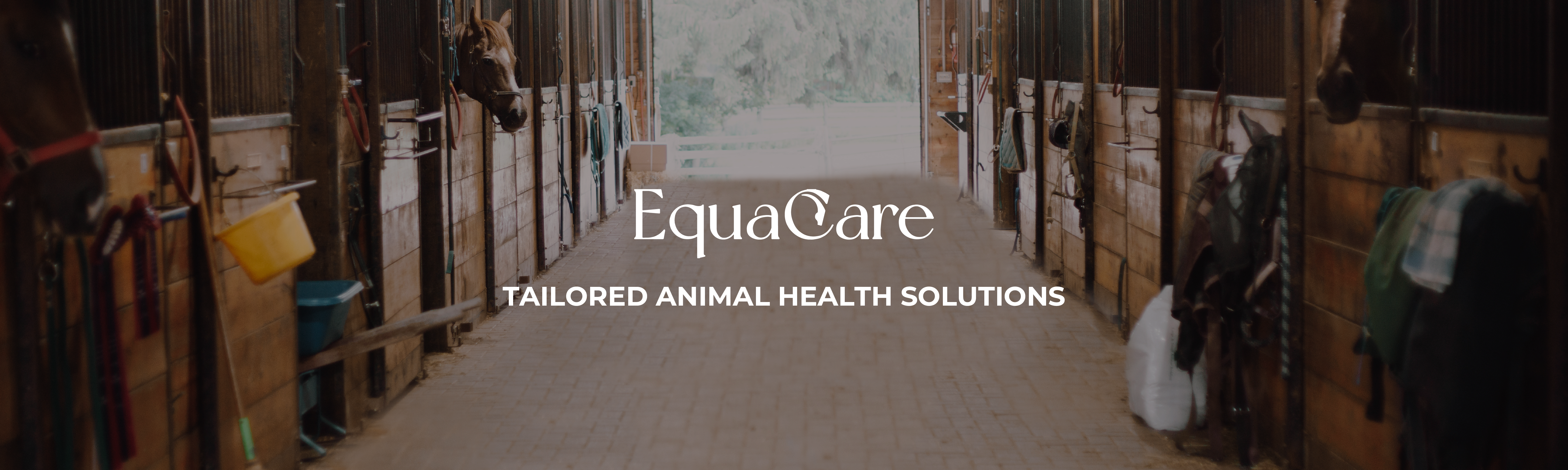 Equacare