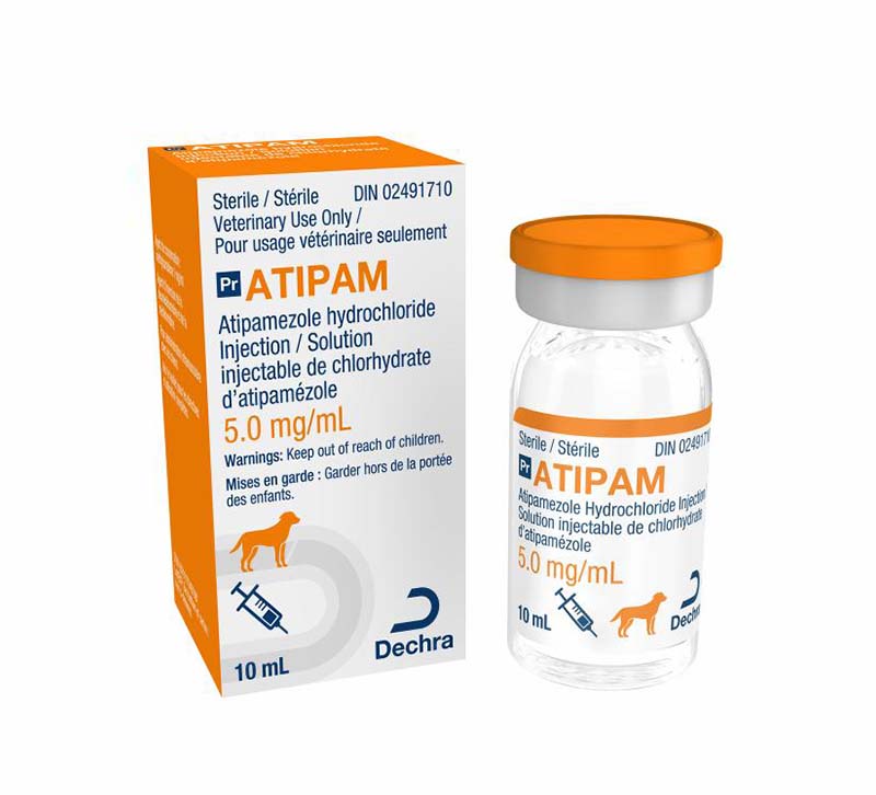 Atipam 5mg/ml Solution for Injection 5ml