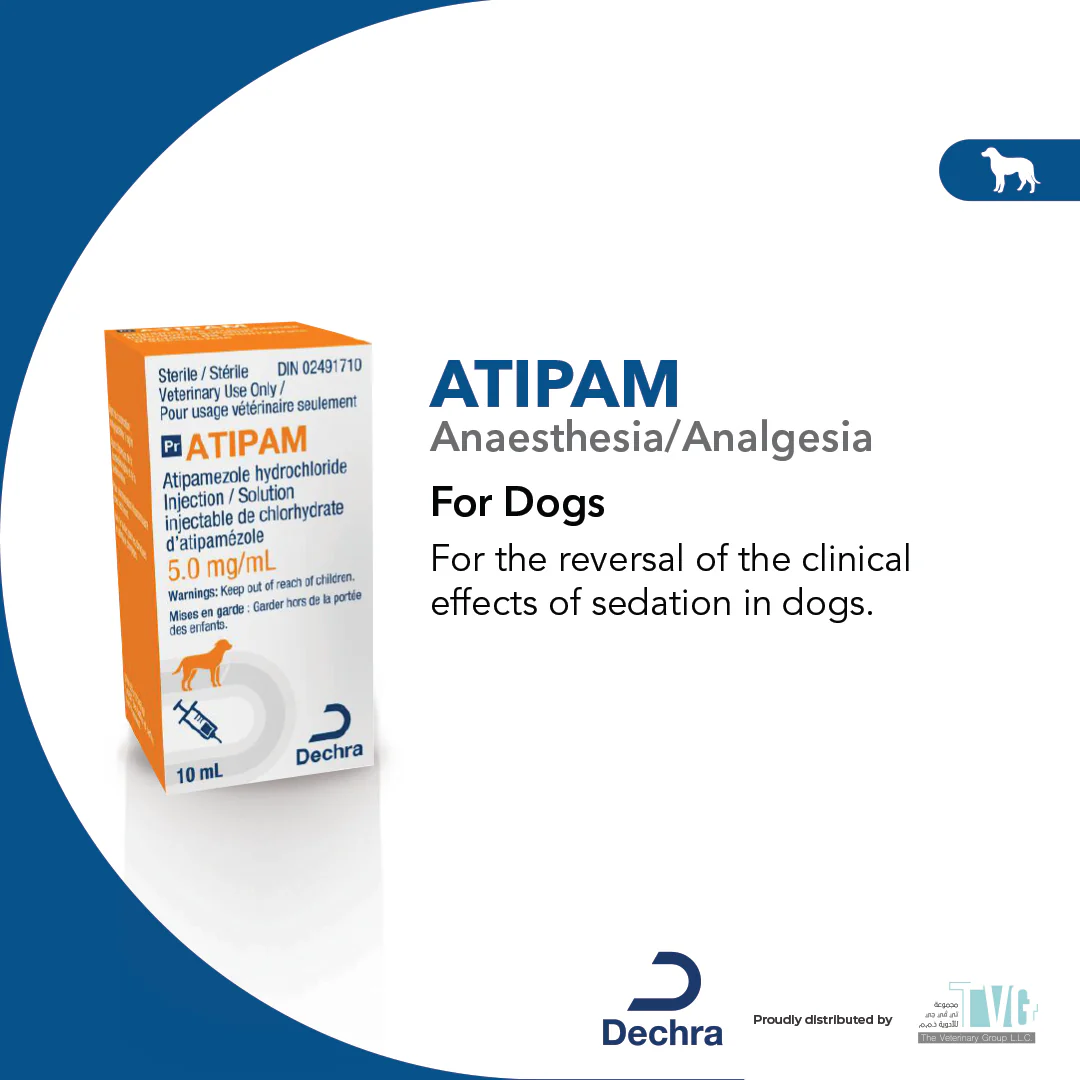 Atipam 5mg/ml Solution for Injection 5ml