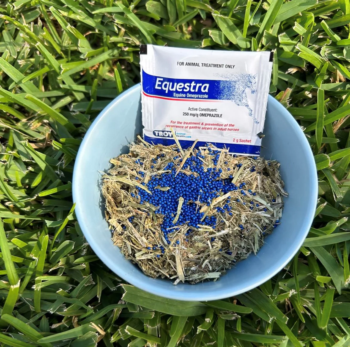 EQUESTRA EQUINE OMEPRAZOLE 50 x 2g