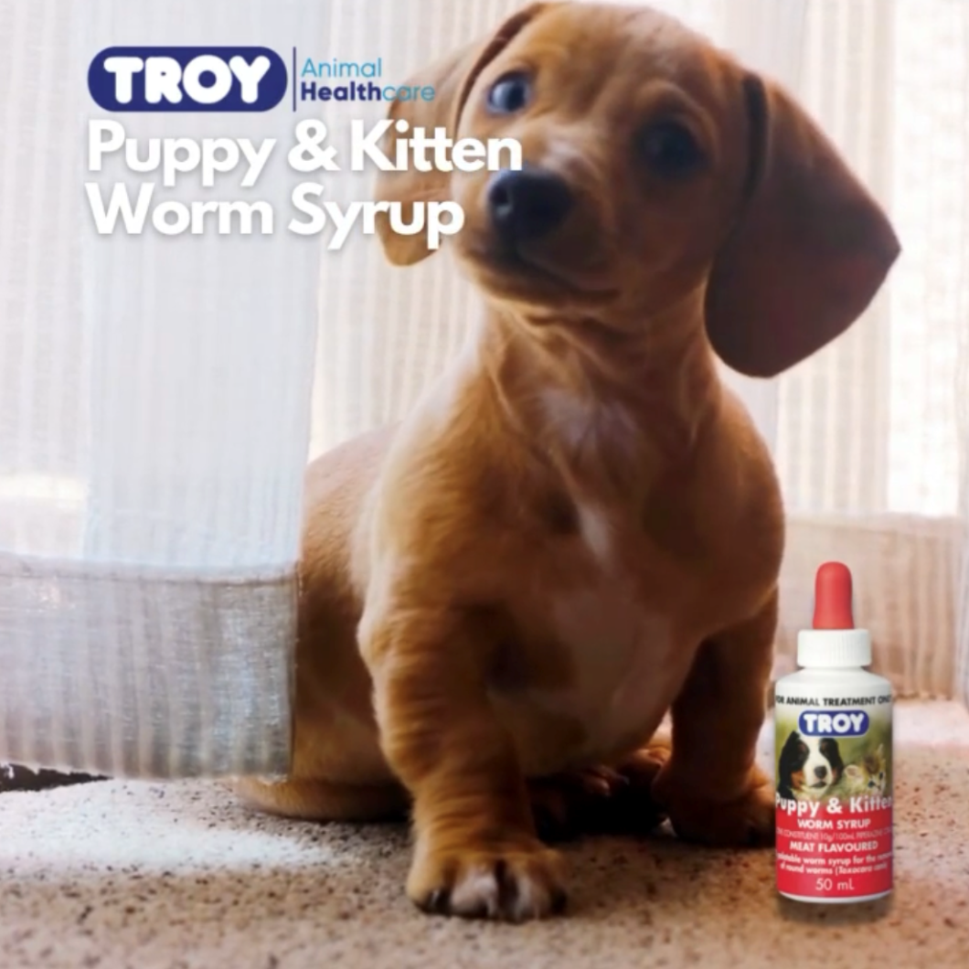 Troy Puppy and Kitten Worm Syrup 50ml