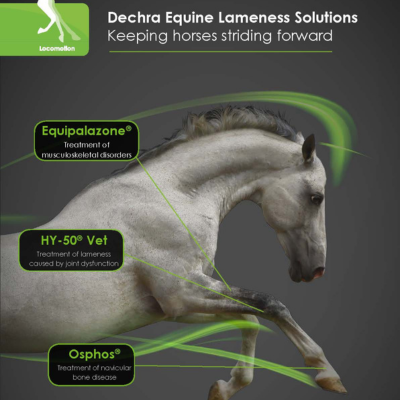 Osphos® 51mg/ml solution for Injection 15ml