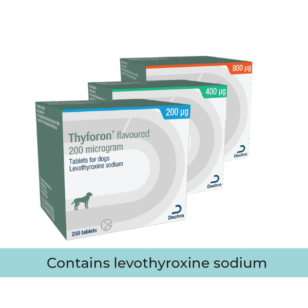 Thyforon® Flavoured Tablets 400mg