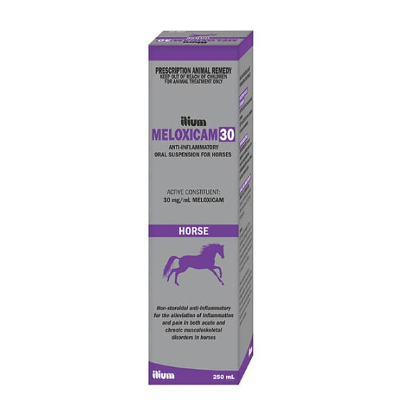 Meloxicam 30 Horse Susp 250 ML