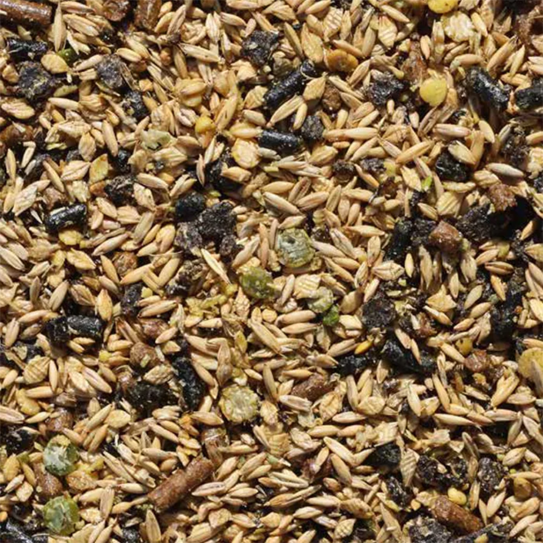 SARACEN ENDURO SPEED