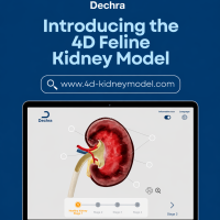 Dechra 4d kidney model 