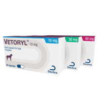Vetoryl® Capsules (Trilostane) 10mg