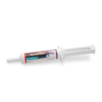 Buteless High Strength Paste 30ml