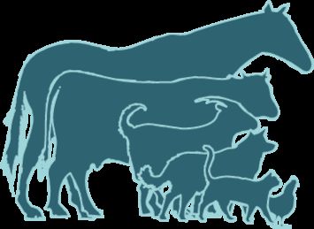 6 Focus Species