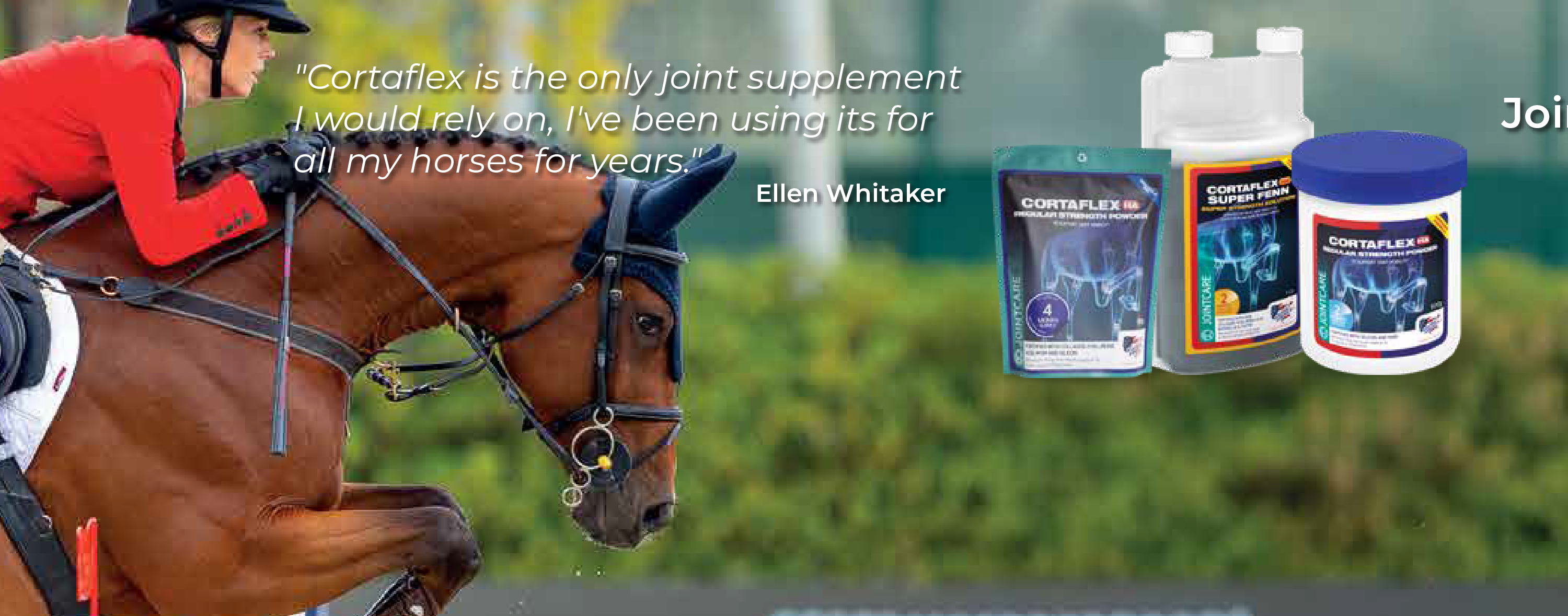 Cortaflex from Equine America 
