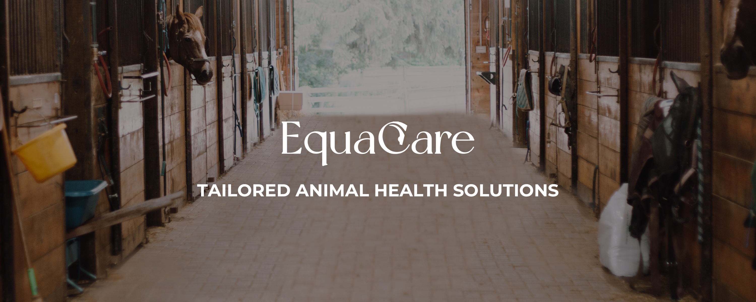 Equacare