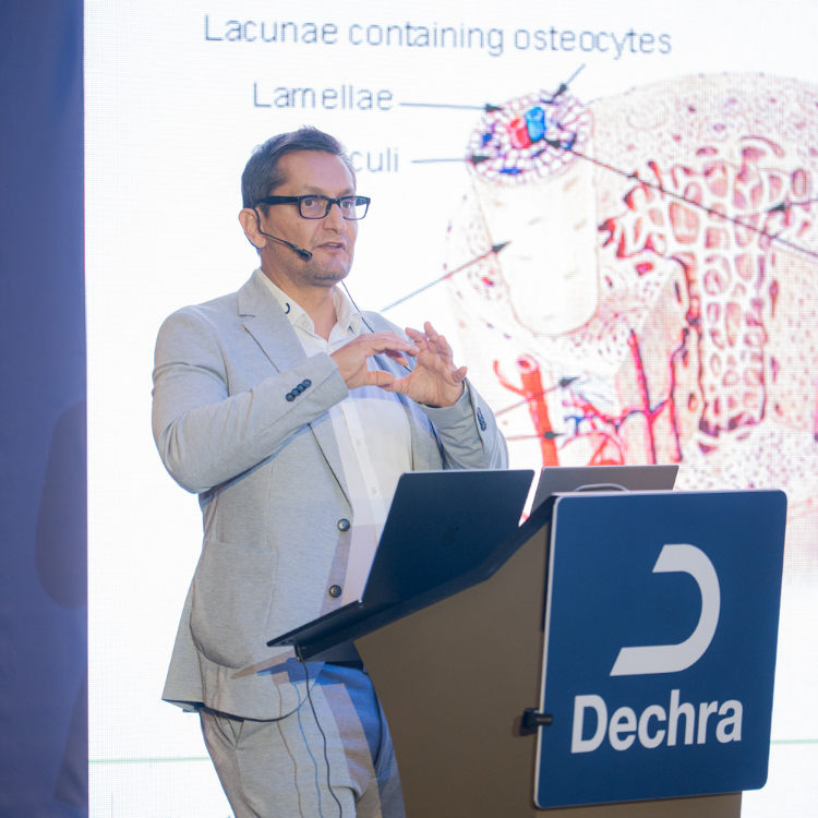 Thank You for Joining Us at the Equine & Camel Orthopaedics Seminar