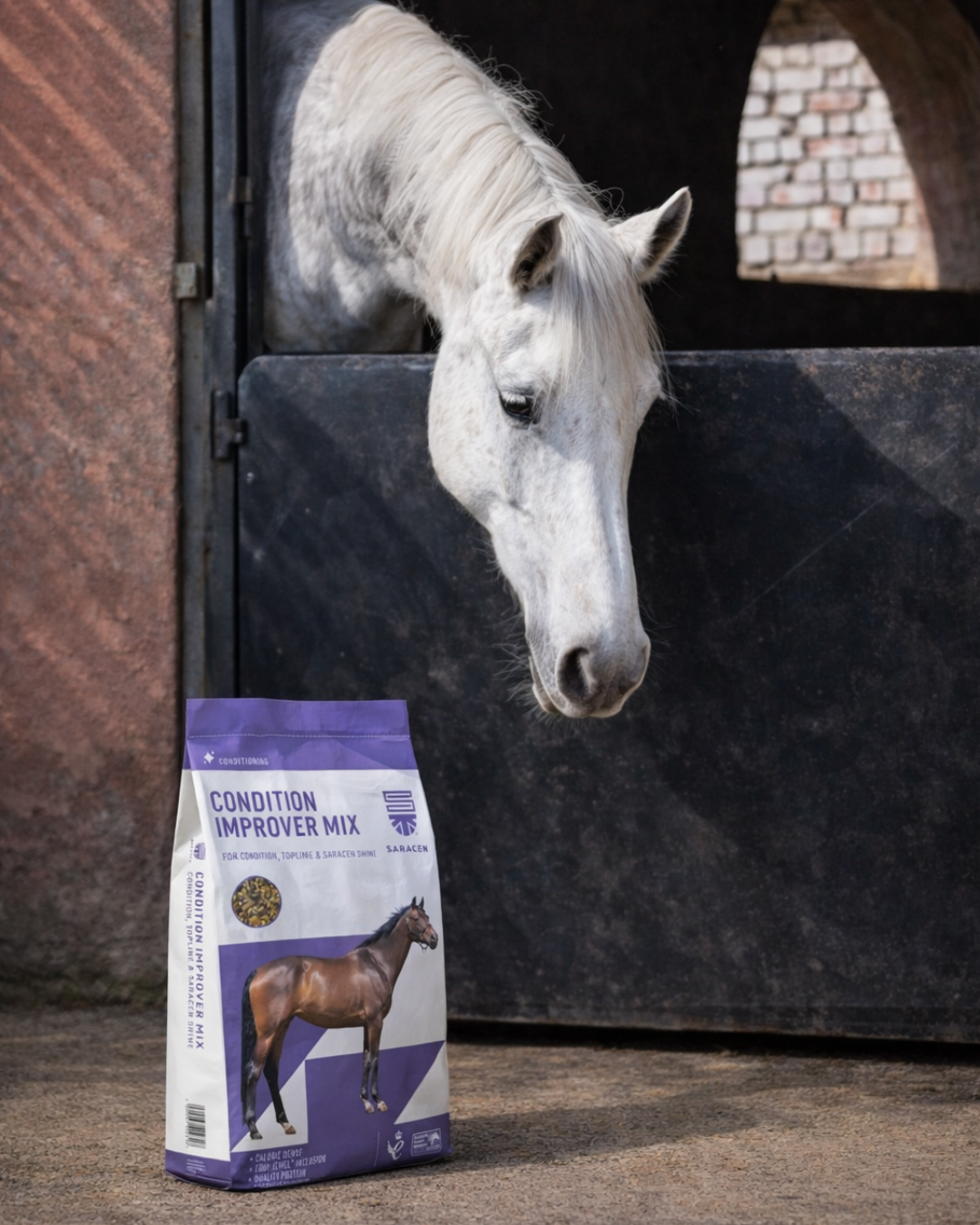 Conditioning Horse Feed in the UAE: How to Safely Improve Weight, Topline & Coat Condition