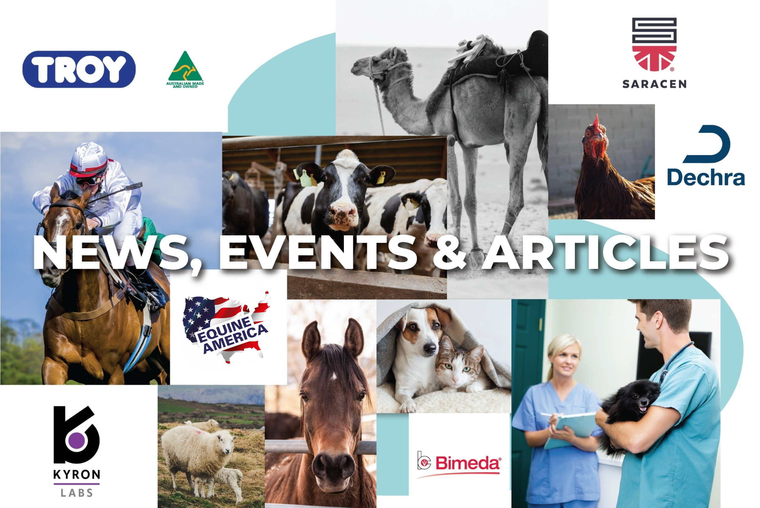 TVG news, events and articles